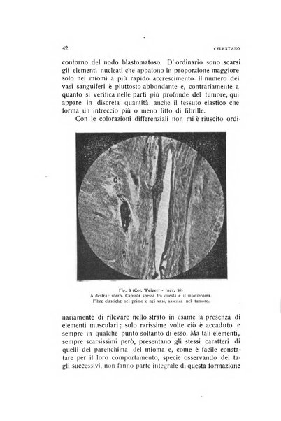 Archivio di ostetricia e ginecologia