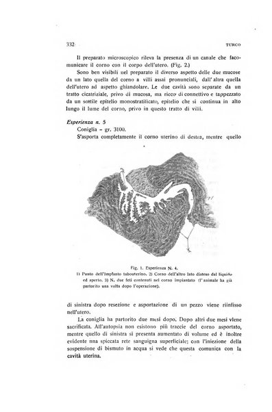 Archivio di ostetricia e ginecologia