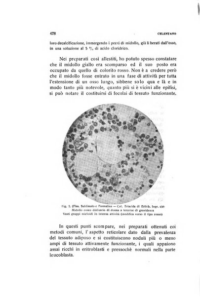 Archivio di ostetricia e ginecologia