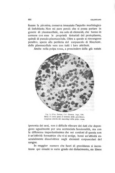 Archivio di ostetricia e ginecologia