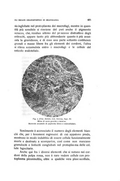 Archivio di ostetricia e ginecologia