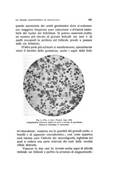 Archivio di ostetricia e ginecologia