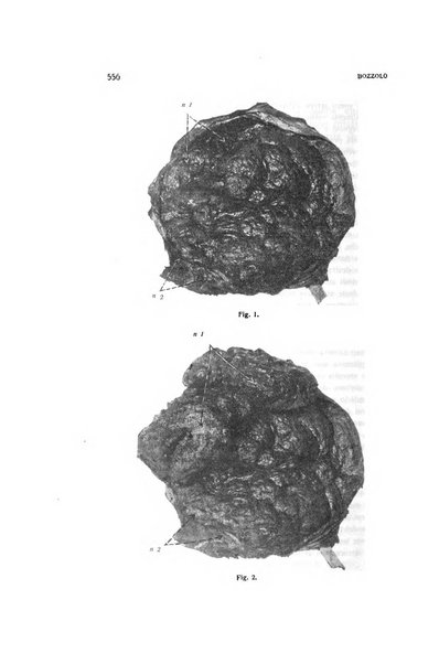 Archivio di ostetricia e ginecologia