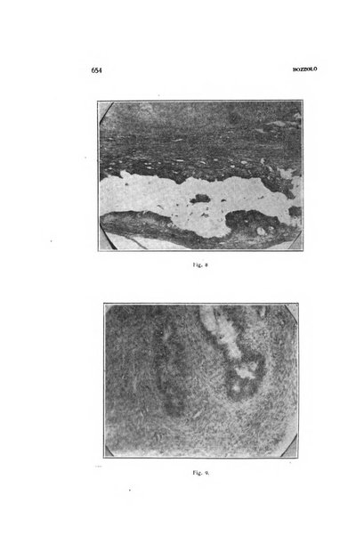 Archivio di ostetricia e ginecologia