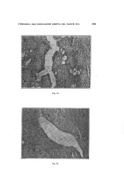 Archivio di ostetricia e ginecologia