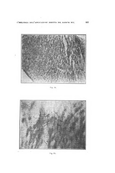 Archivio di ostetricia e ginecologia