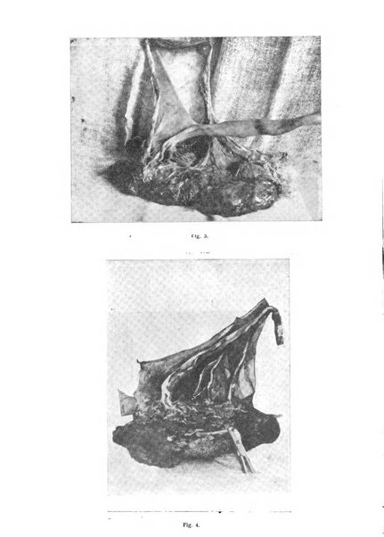 Archivio di ostetricia e ginecologia