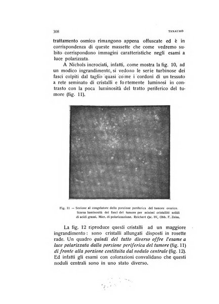 Archivio di ostetricia e ginecologia