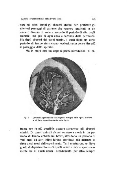 Archivio di ostetricia e ginecologia