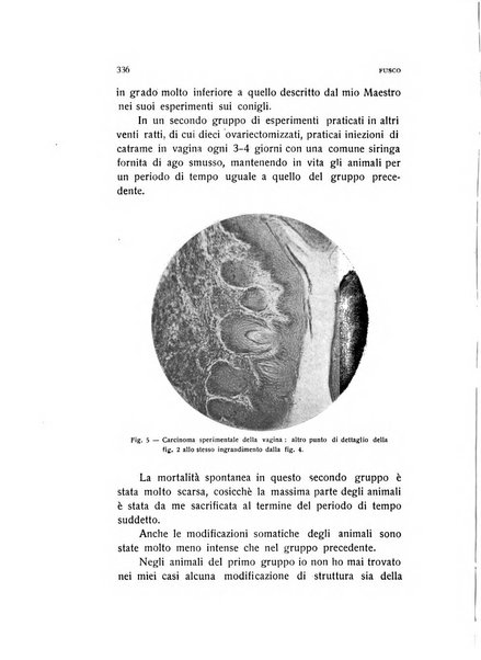 Archivio di ostetricia e ginecologia