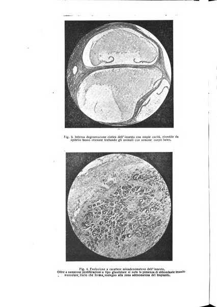 Archivio di ostetricia e ginecologia