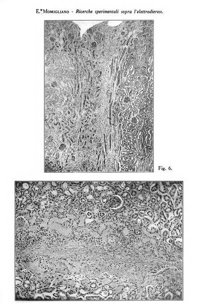 Archivio di ostetricia e ginecologia