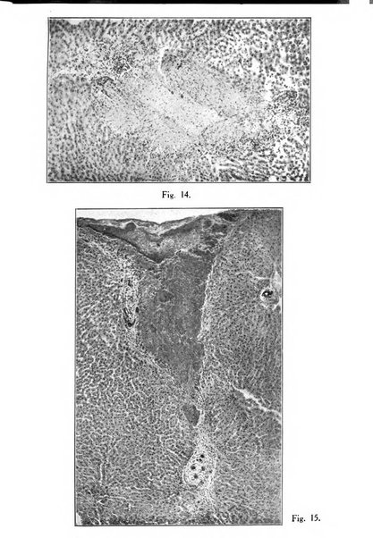 Archivio di ostetricia e ginecologia