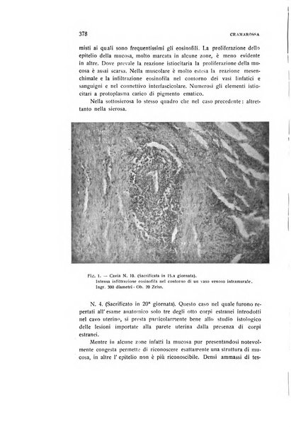 Archivio di ostetricia e ginecologia