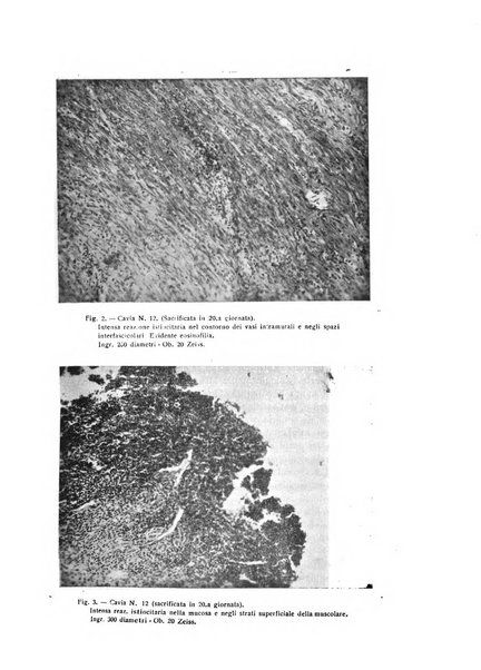 Archivio di ostetricia e ginecologia