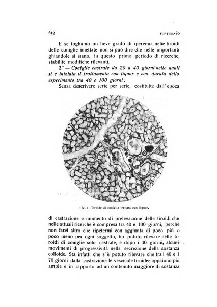 Archivio di ostetricia e ginecologia