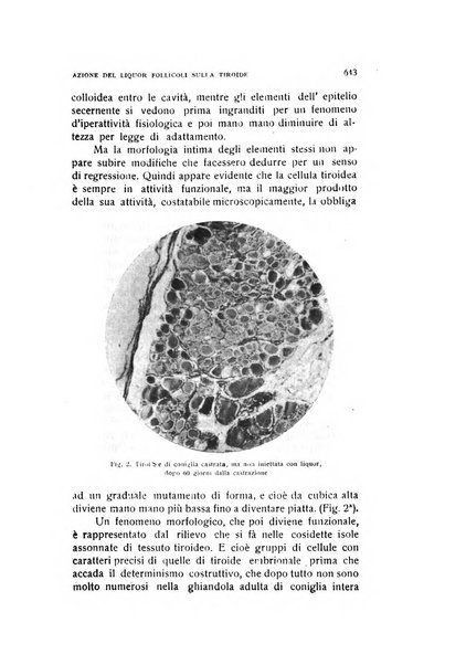 Archivio di ostetricia e ginecologia