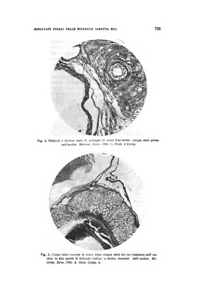 Archivio di ostetricia e ginecologia