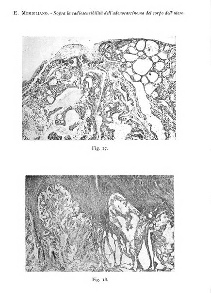 Archivio di ostetricia e ginecologia