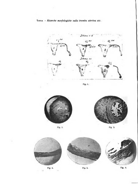 Archivio di ostetricia e ginecologia