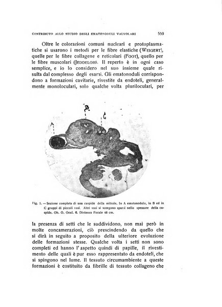 Archivio di ostetricia e ginecologia