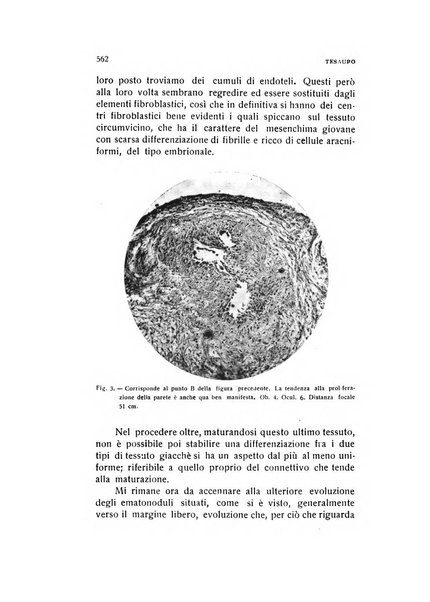 Archivio di ostetricia e ginecologia