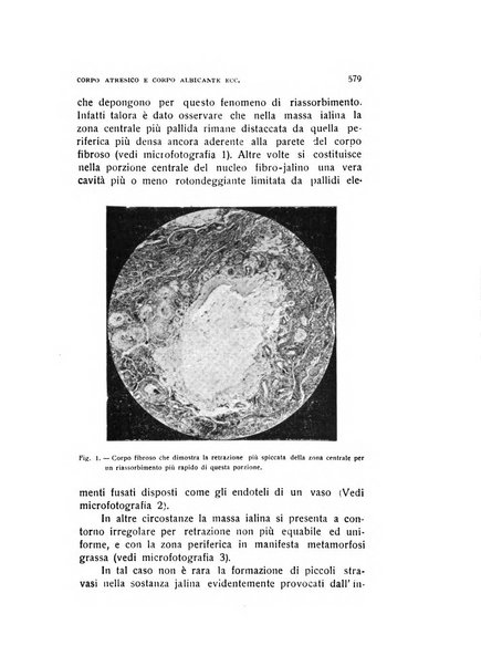 Archivio di ostetricia e ginecologia