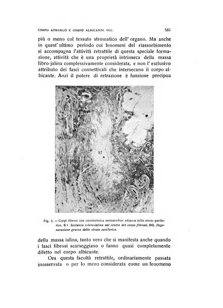 Archivio di ostetricia e ginecologia