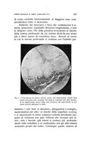 giornale/TO00176850/1935/unico/00000651