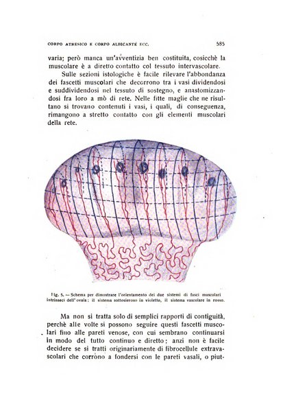 Archivio di ostetricia e ginecologia