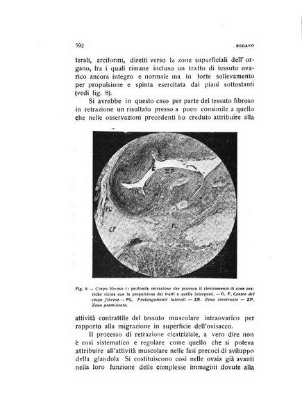 Archivio di ostetricia e ginecologia