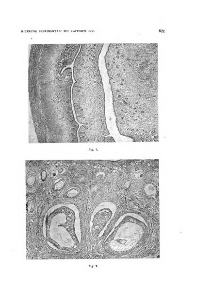 Archivio di ostetricia e ginecologia