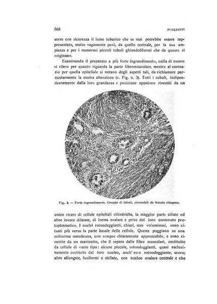 Archivio di ostetricia e ginecologia