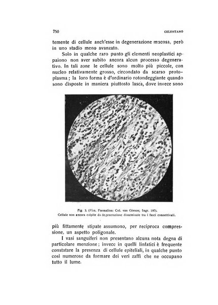 Archivio di ostetricia e ginecologia