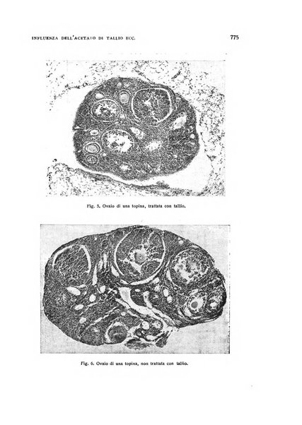 Archivio di ostetricia e ginecologia