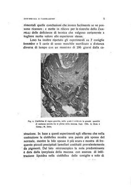 Archivio di ostetricia e ginecologia