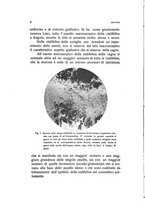giornale/TO00176850/1936/unico/00000018