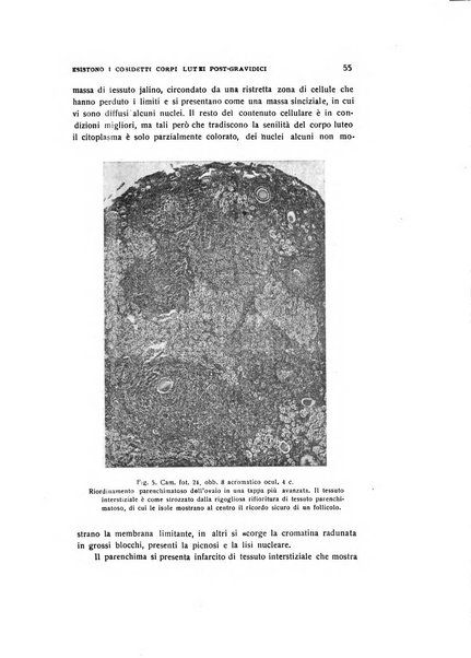 Archivio di ostetricia e ginecologia