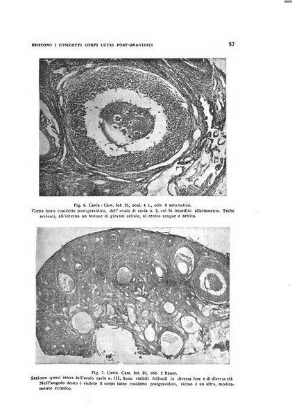 Archivio di ostetricia e ginecologia