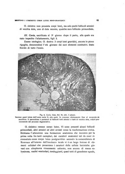 Archivio di ostetricia e ginecologia