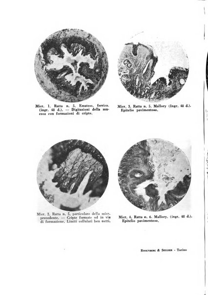 Archivio di ostetricia e ginecologia