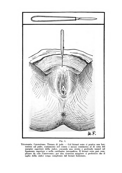 Archivio di ostetricia e ginecologia