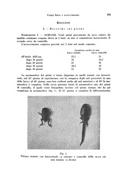 Archivio di ostetricia e ginecologia