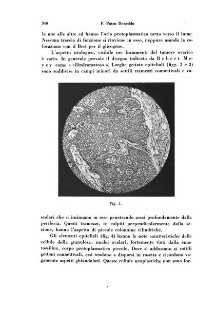 Archivio di ostetricia e ginecologia