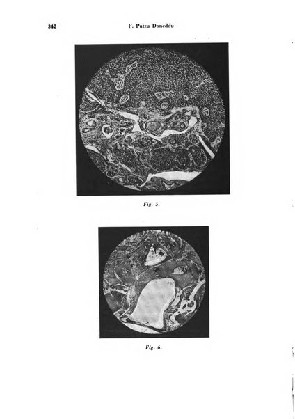 Archivio di ostetricia e ginecologia