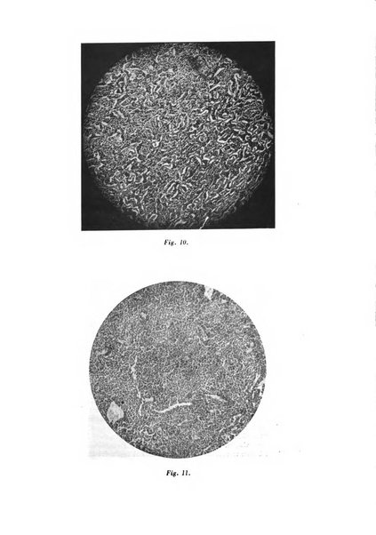 Archivio di ostetricia e ginecologia