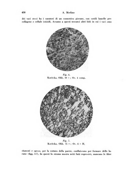 Archivio di ostetricia e ginecologia