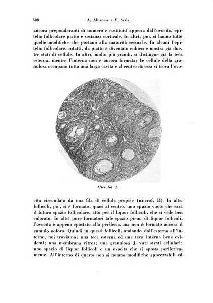 Archivio di ostetricia e ginecologia