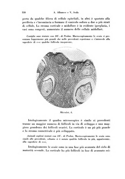 Archivio di ostetricia e ginecologia