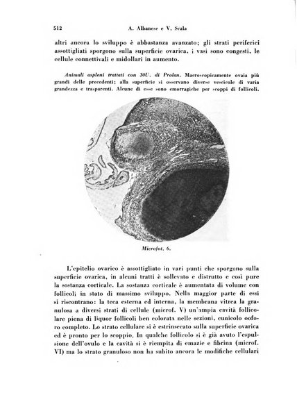 Archivio di ostetricia e ginecologia